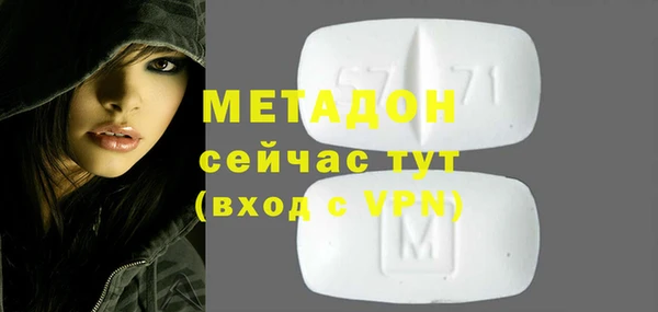 гашик Алексин