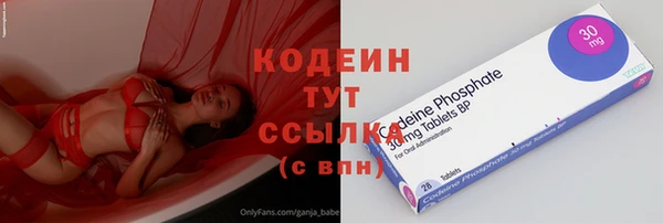 гашик Алексин