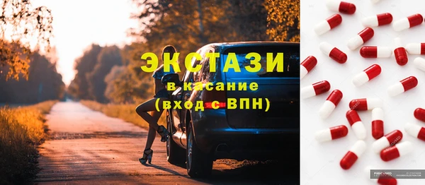 гашик Алексин