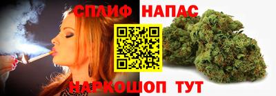 гашик Бийск