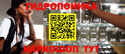 гашик Бийск