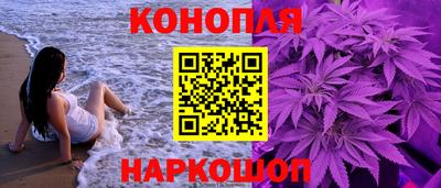 гашик Бийск