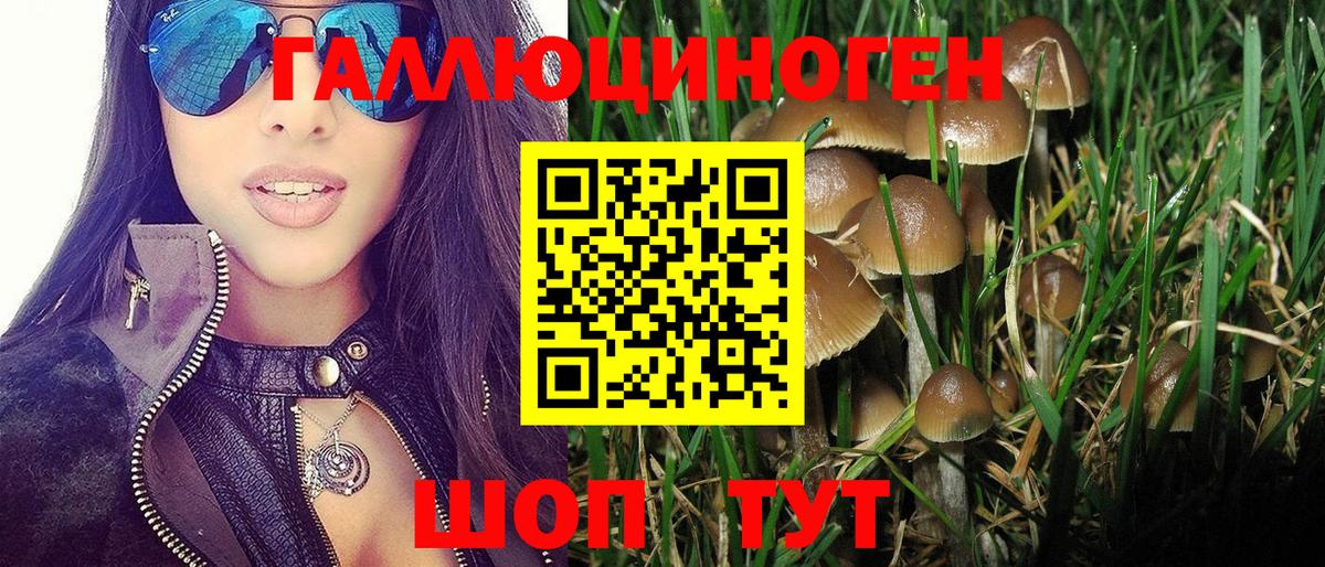 Псилоцибиновые грибы мицелий Карпинск