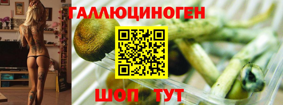 Псилоцибиновые грибы Psilocybe  Галлюциногенные грибы мицелий  Карпинск  Вход с VPN 